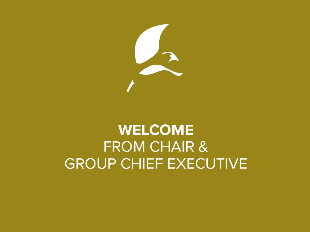 Welcome from chair and group chief executive